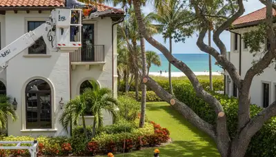 Tree service team in Miami, FL providing professional tree trimming and care
