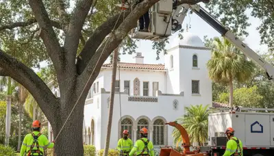 Miami, FL tree service crew providing professional tree trimming for a local property